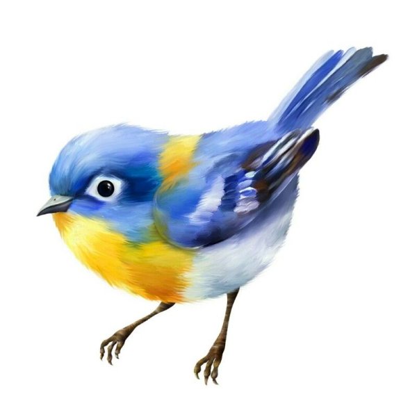 Яркие птички на прозрачном фоне