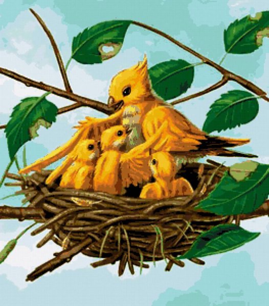 Гнездо для птиц.