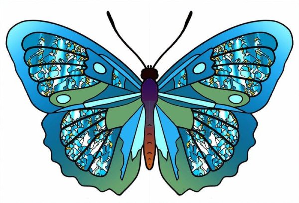 Изображение бабочки для детей