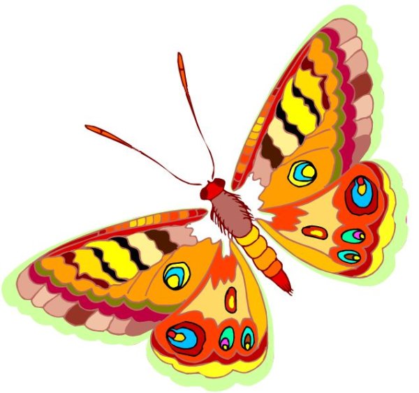 Бабочки картинки для детей