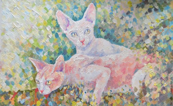 Перспективная картина коты