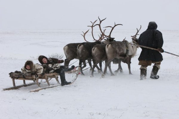 Картина дети севера для детей