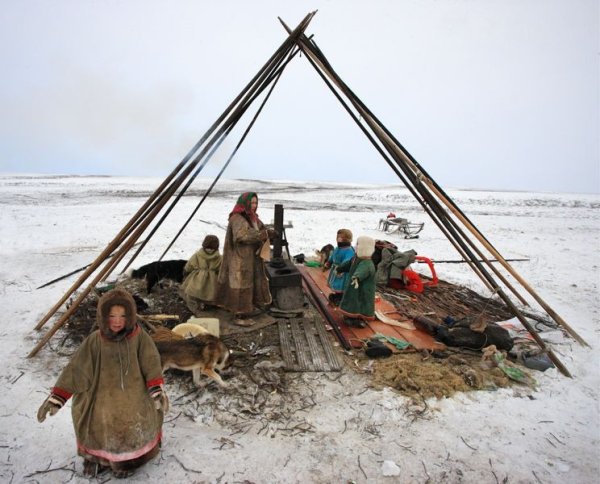 Картина дети севера Пеньевская