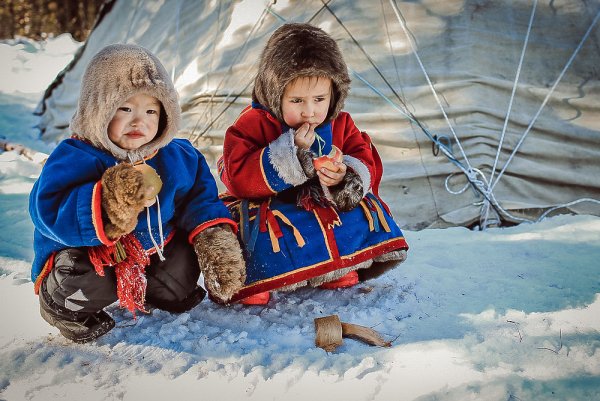 Ямал тундра ненцы