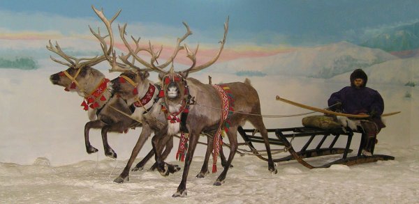 Картина дети севера