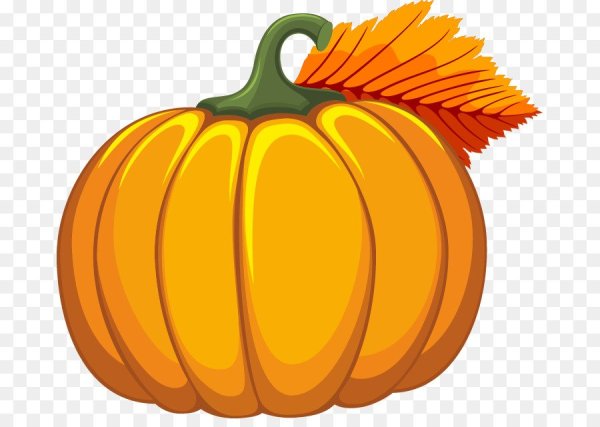 Тыква вектор