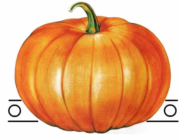 Маски овощей для детей