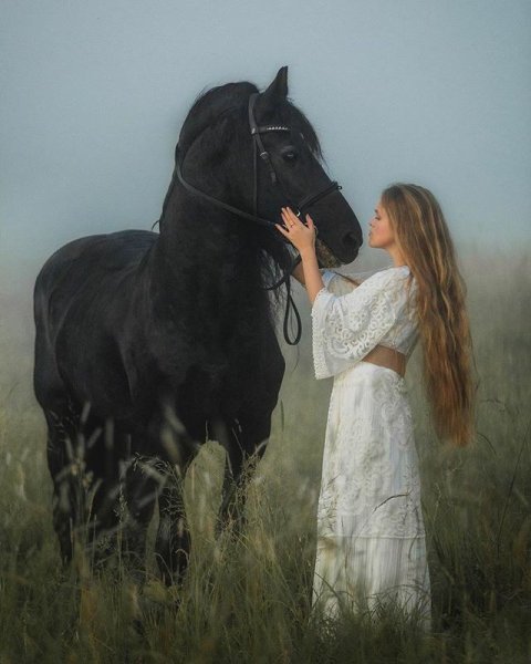 Антуан-Жан Гро картины