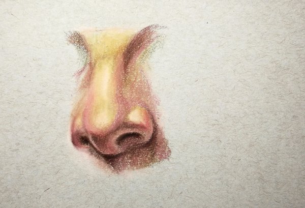 Нос цветными карандашами