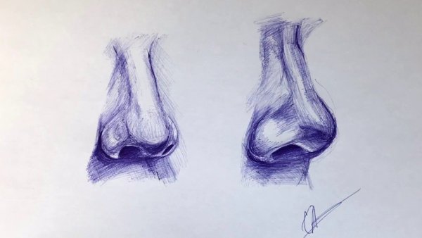 Нос рисунок