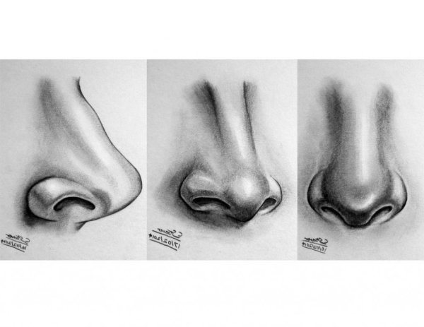 Глаз в профиль