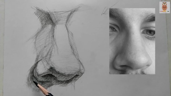 Зарисовки носа карандашом