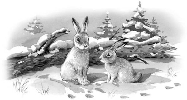 П Меньшикова зайцы