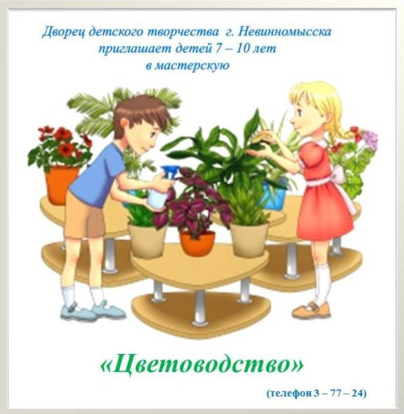 Дети поливают растения в классе