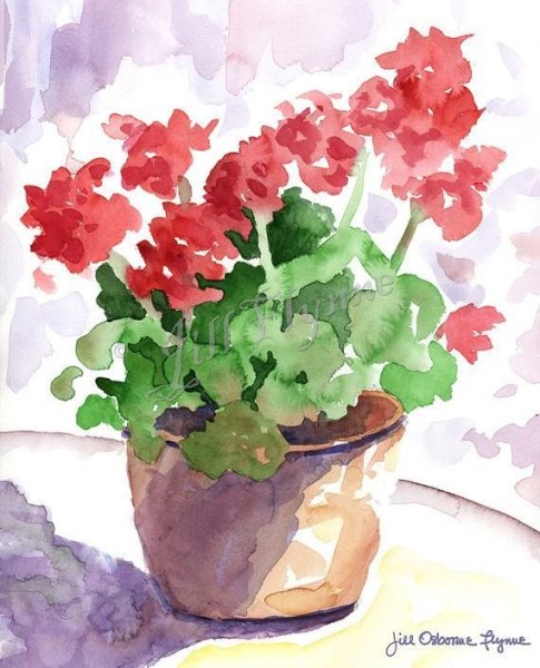 Комнатные цветы акварелью