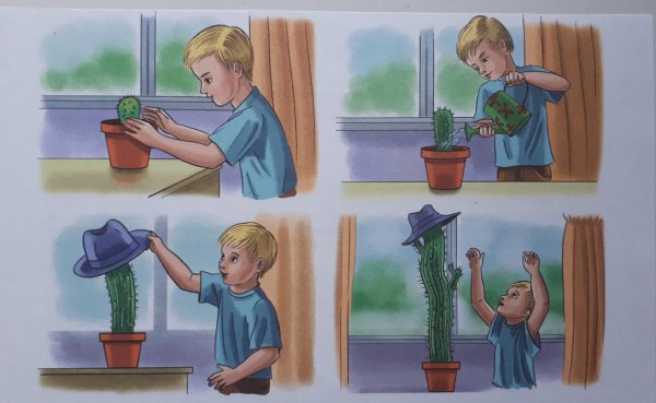 Иллюстрации сюжетные с комнатными растениями