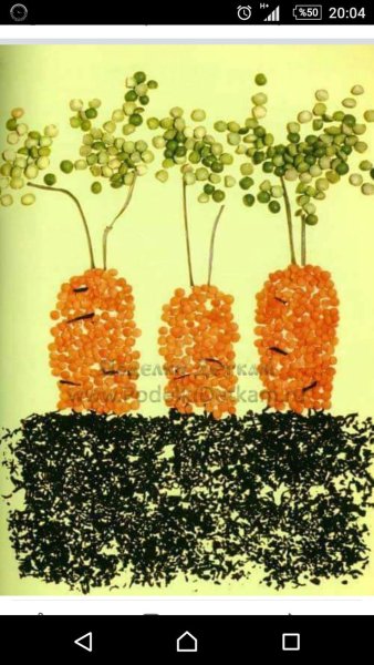 Аппликация из гороха