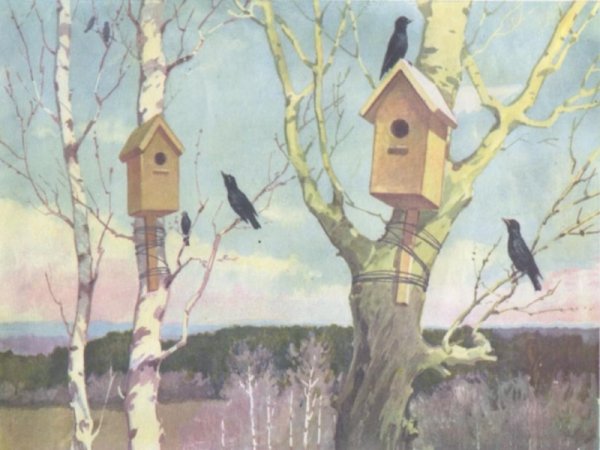 Скворцы прилетели картина