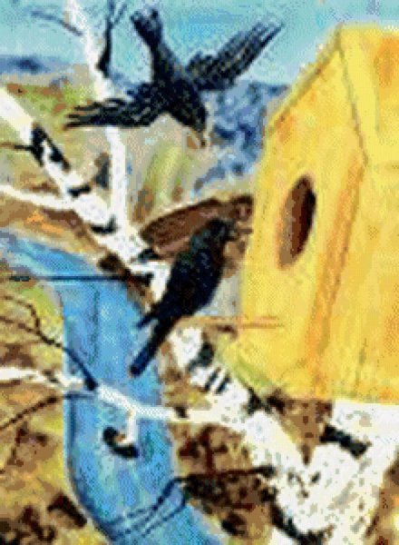 Иллюстрация к произведению Куприна скворцы