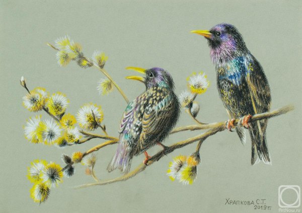 Скворцы картины художников