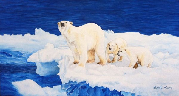 Северный полюс для детей