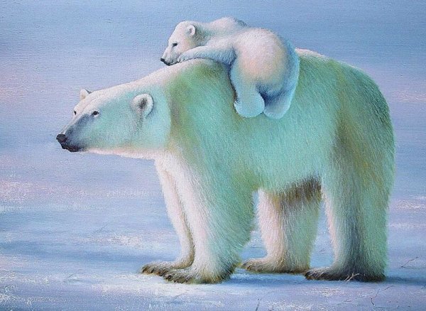 Белый медведь для детей