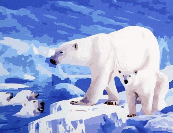 Рисование белого медведя