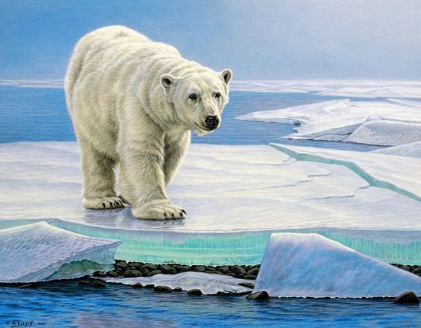 Белый медведь живопись