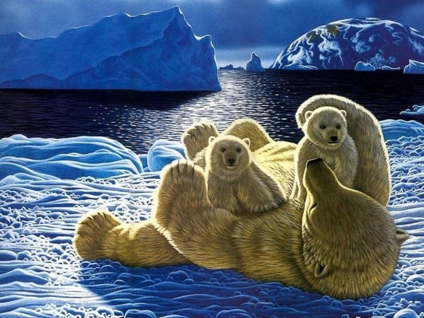 Картина белые медведи