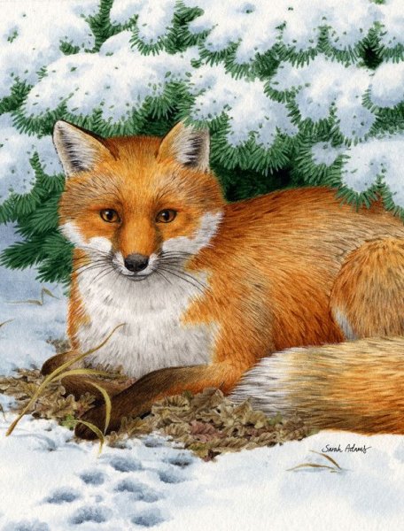 «Лиса в лесу»