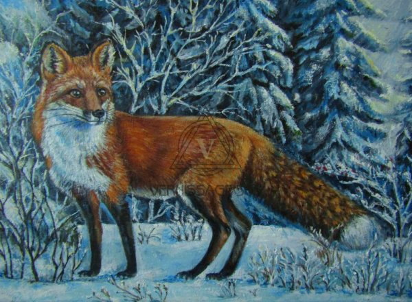 Лисы в лесу Графика