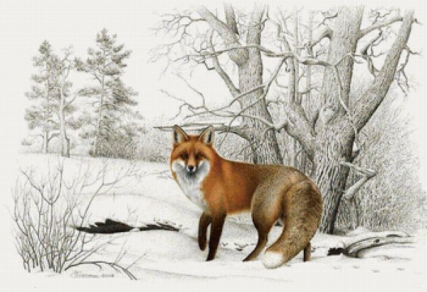 Алексей Исаков художник анималист