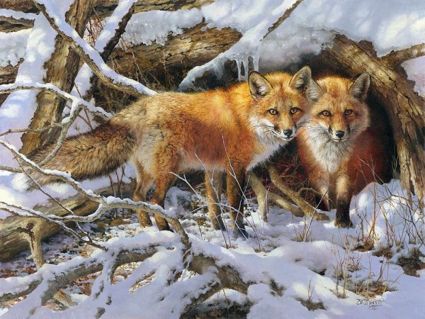 Зимний лес с дикими животными