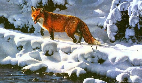 Лиса рисунок