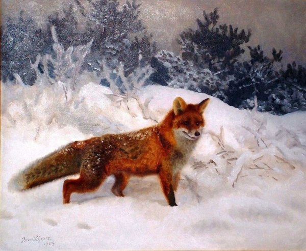 Животные в лесу зимой