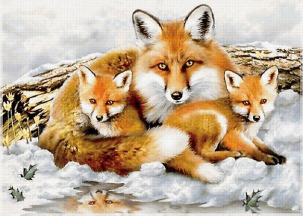 Иллюстрации к сказке четыре художника зима Скребицкий