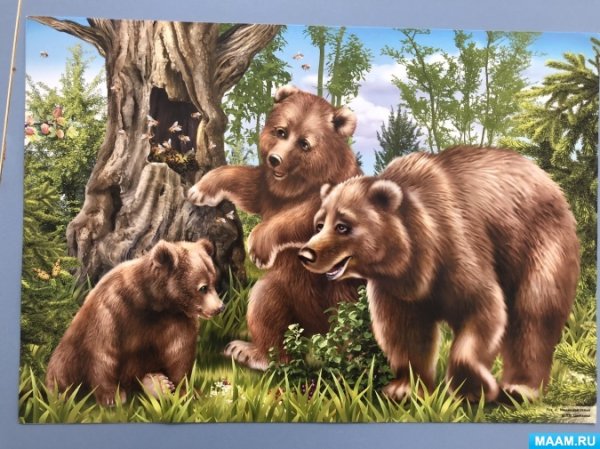 Медвежья семья для детей