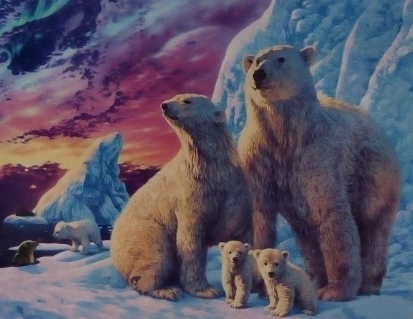 Картина Медведица и Медвежонок