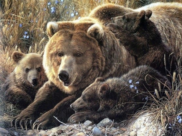 Алмазная мозайка медведи