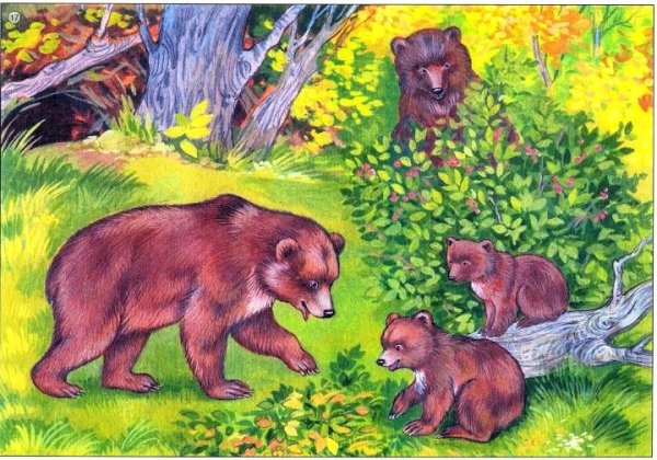 Медведь иллюстрация