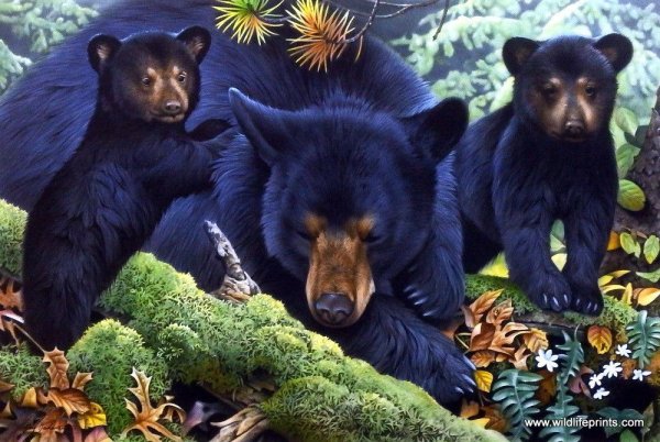 Художник-анималист Пауль Крапф