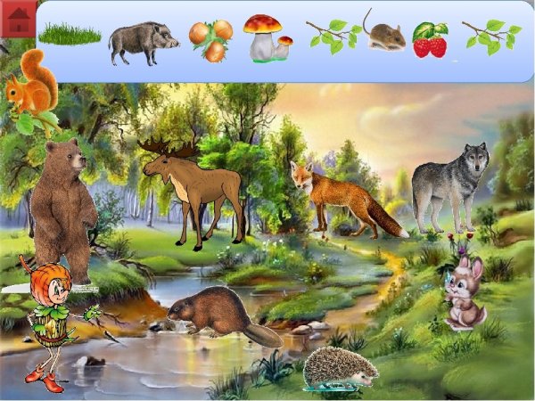 Лесные животные для детей