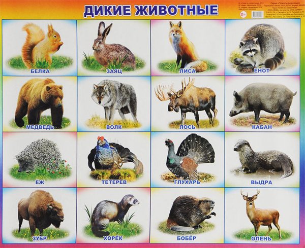 Плакат "Дикие животные"