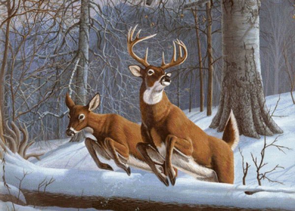 Олень живопись