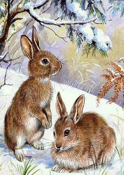 Картина зайцы Дикие животные п Меньшикова