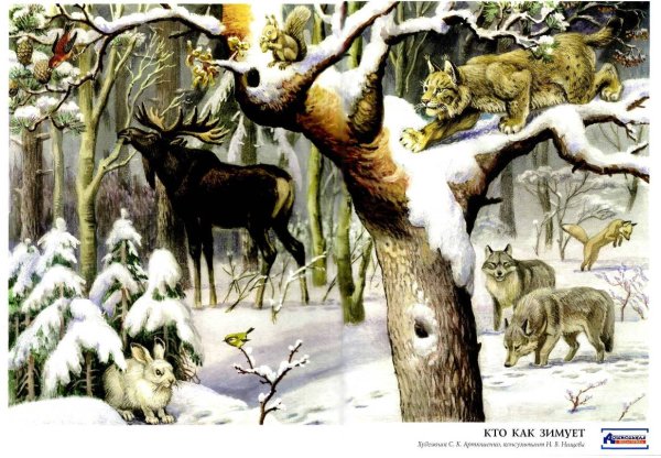 Сказочный олень зимой