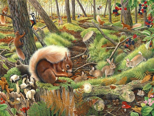 Жители леса