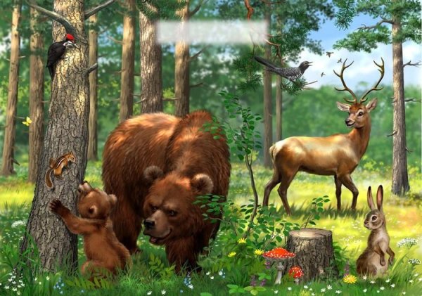 Жители леса