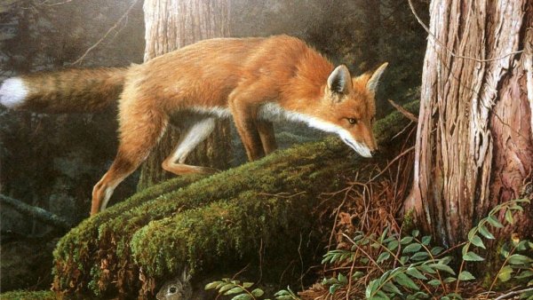 Картина животные в лесу