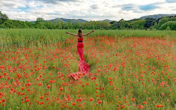 Девушка на лугу